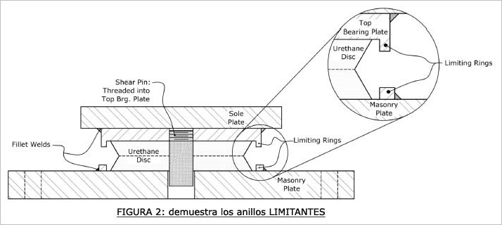 MUESTRA RONGS LIMITANTES